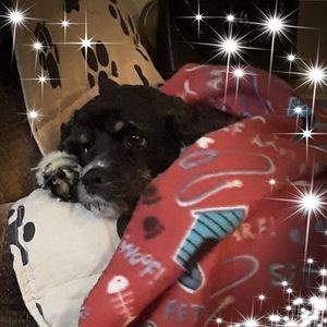 Meet your Posher, Holly